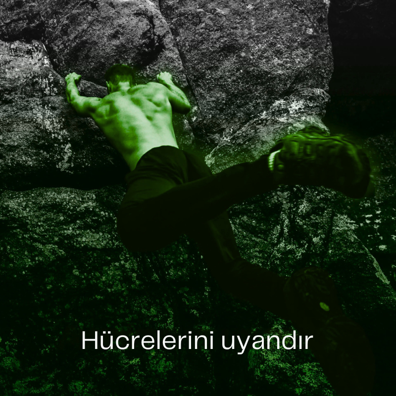 OxiFresh™ Sığırkuyruğu Özü
