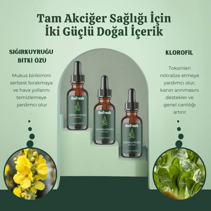 OxiFresh™ Sığırkuyruğu Özü
