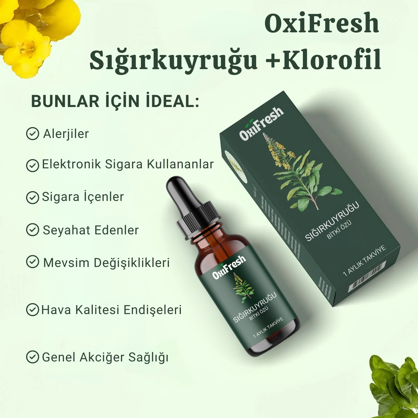 OxiFresh™ Sığırkuyruğu Özü