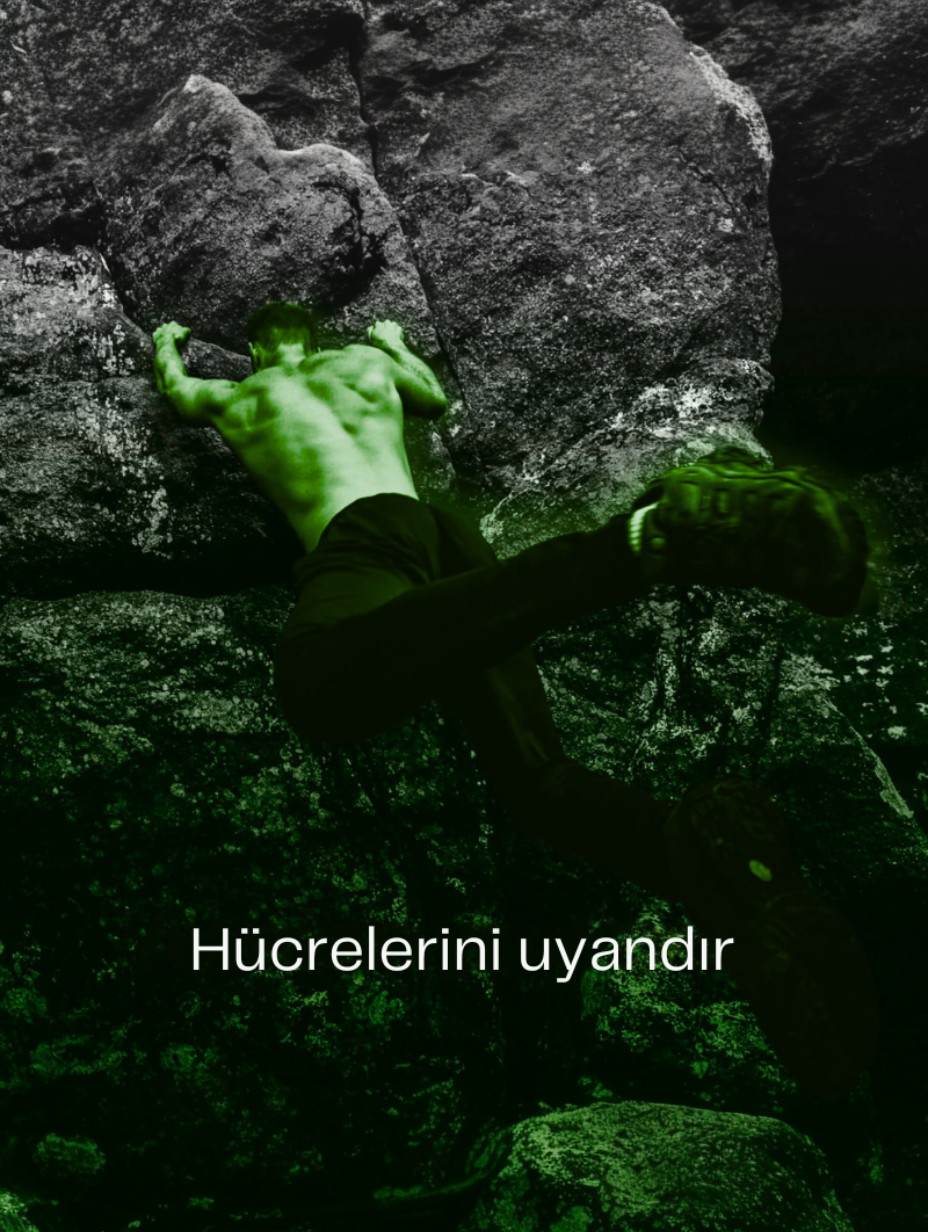 OxiFresh™ Sığırkuyruğu Özü